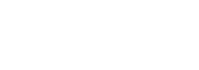INVICTUS IT SERVICES